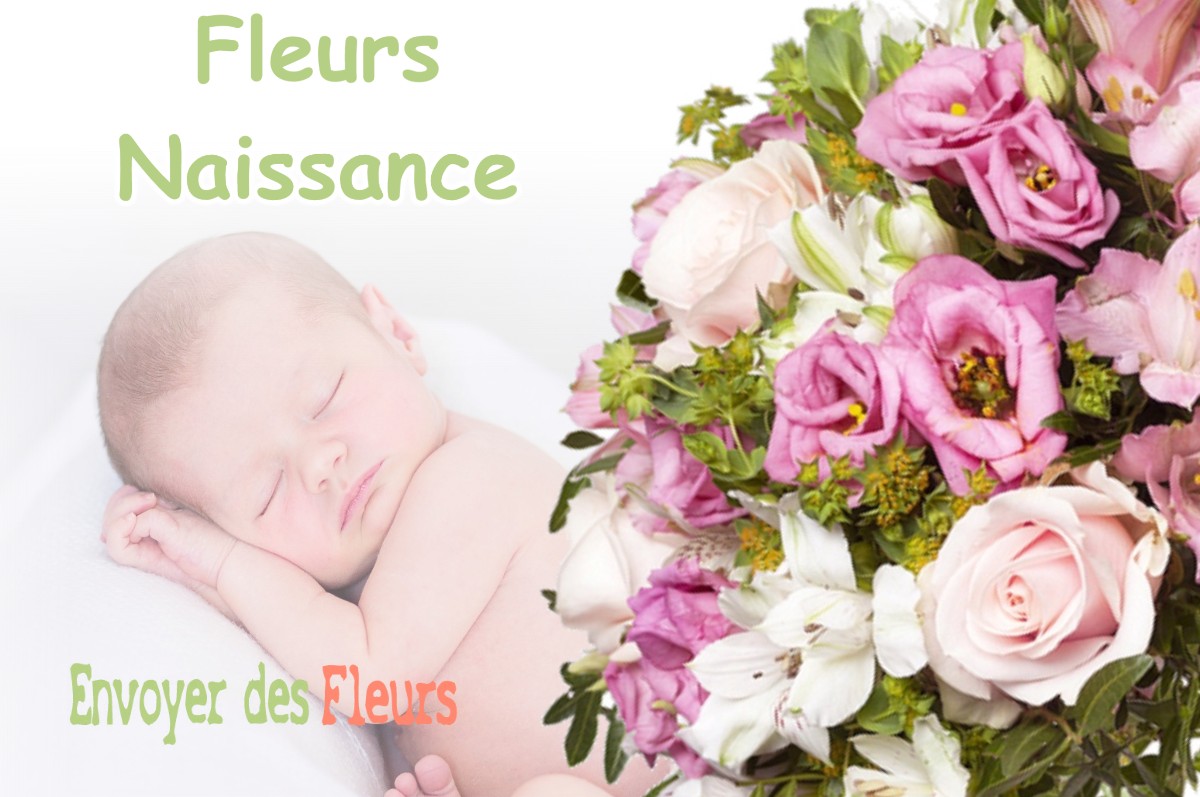 lIVRAISON FLEURS NAISSANCE à HERRAN